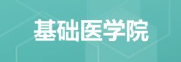 028-62739178 招办邮箱