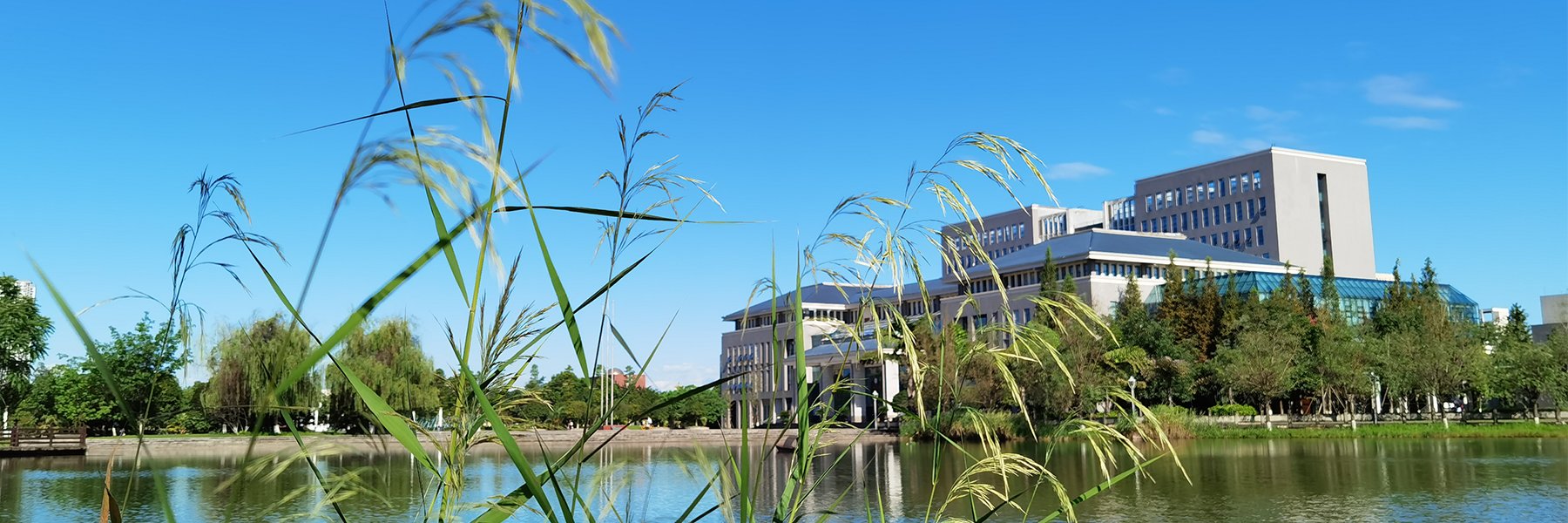 千亿体育app在线登录成为切尔西全球