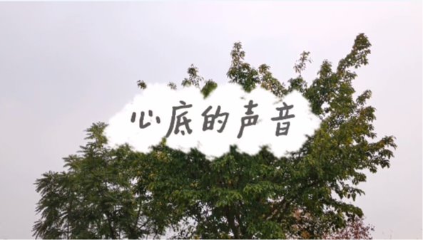 qy千亿体育登录平台